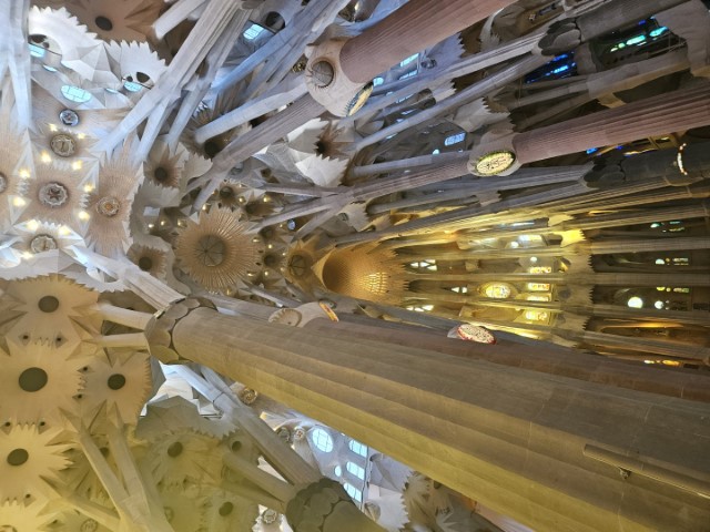 20260223_154822.jpg